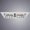 A5935PL-2WH