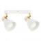 A5047PL-2WH
