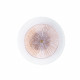 A1259AP-1PB A1259AP-1PB