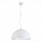 SL279.503.01 Светильник подвесной ST-Luce Белый/Белый, Серебристый E27 1*60W
