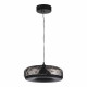 SL6014.403.01 Светильник подвесной ST-Luce Черный/Черный, Дымчатый LED 1*42W 3000K