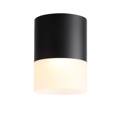 ST100.402.15 Светильник потолочный Черный LED 1*15W 3000K 1 170Lm Ra>80 120° D118xH150 170-240VV