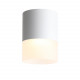 ST100.542.15 Светильник потолочный Белый LED 1*15W 4000K 1 170Lm Ra>80 120° D118xH150 170-240V