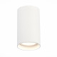 ST157.532.20 Светильник потолочный Белый LED 1*20W 3000K 1 600Lm Ra>90 60° IP44 D95xH150 220-265V