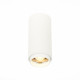 ST600.532.10 Светильник потолочный Zoom Белый LED 1*10W 3000K 1 000Lm Ra>80 15-60° IP20 D59xH130 170