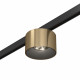 ST669.336.05 Магнитный трековый светильник Латунь LED 1*5W 3000K 350Lm Ra>90 36° IP20 D60xH38 24V